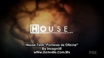 dr house 7x06